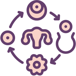 Maestras Proyección