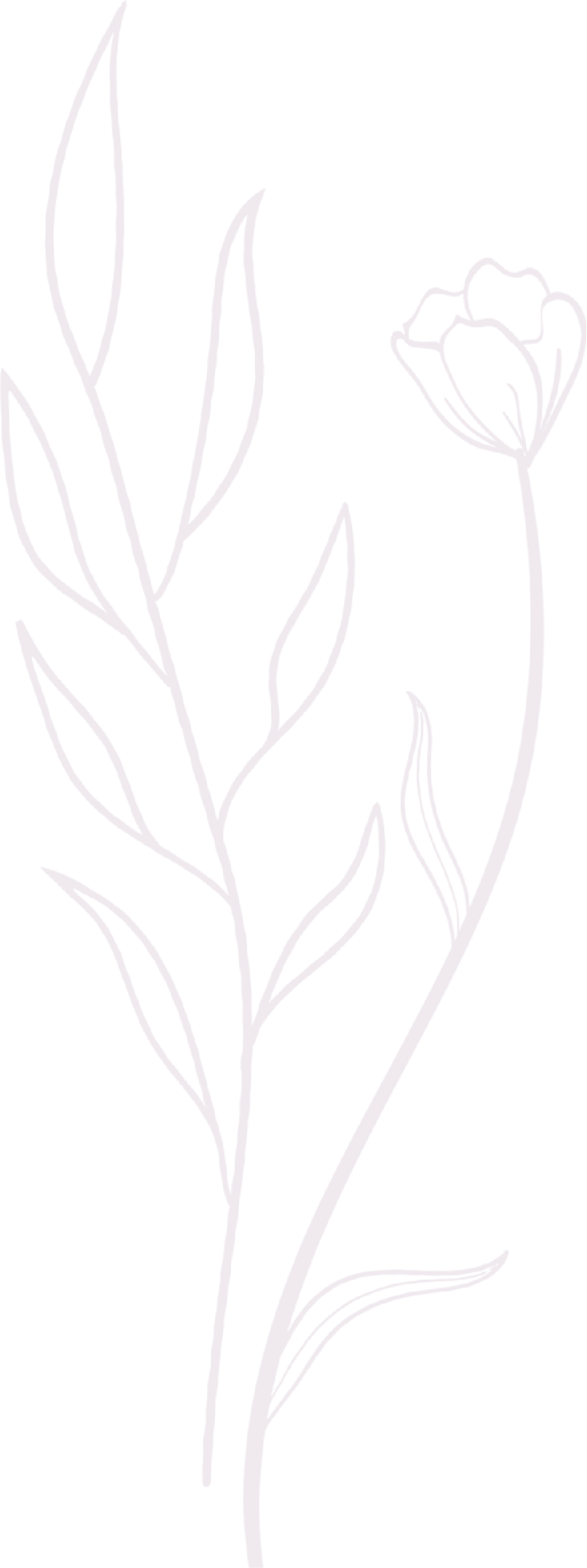 Maestras Niñas Sabias Fondo Morado