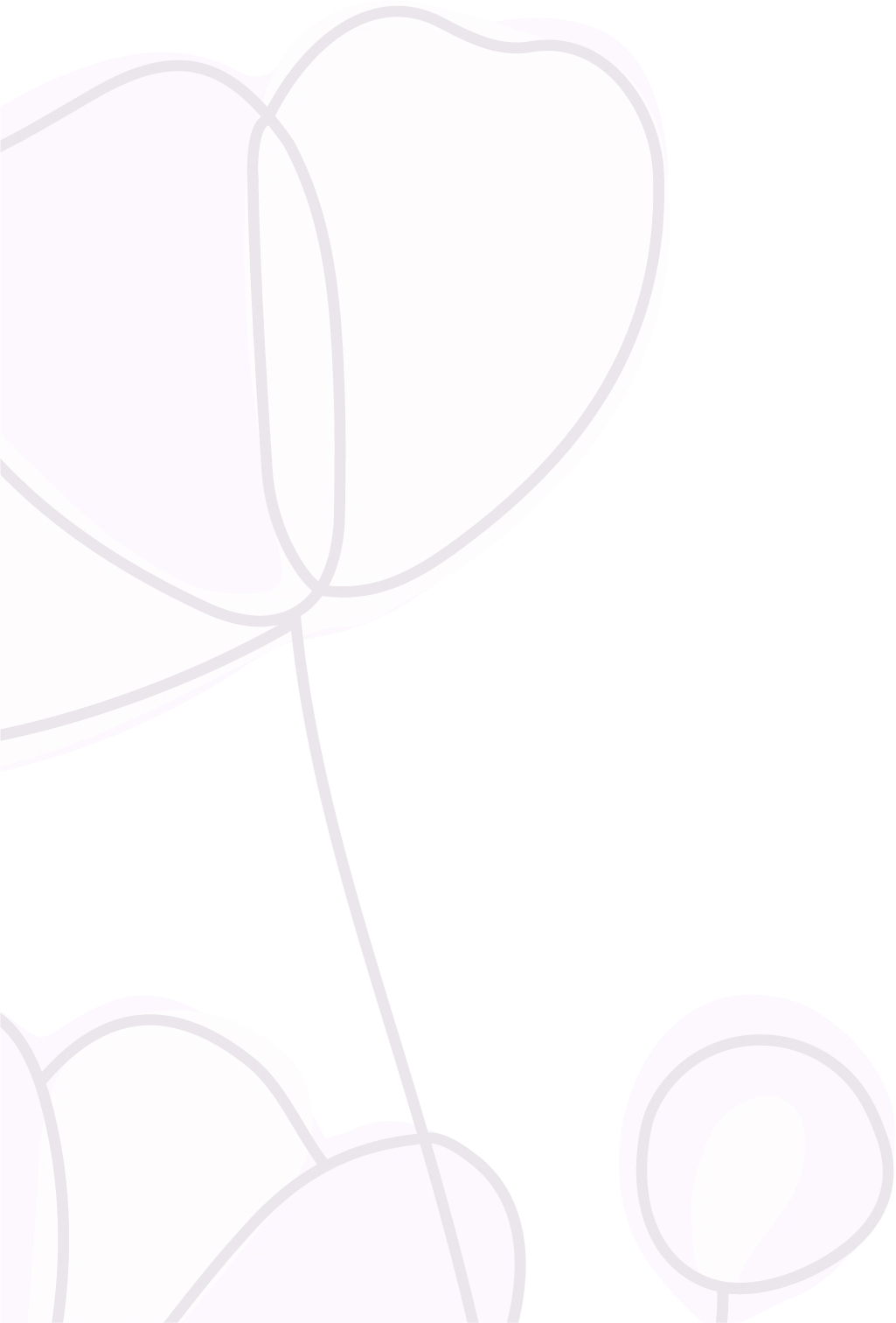 Maestras Niñas Sabias Fondo Proyeccion